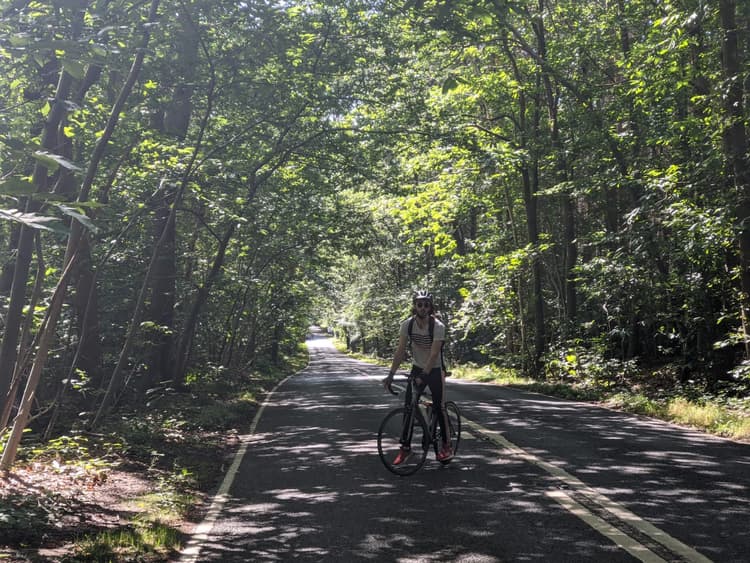 Cycling around Windsor Great Park.